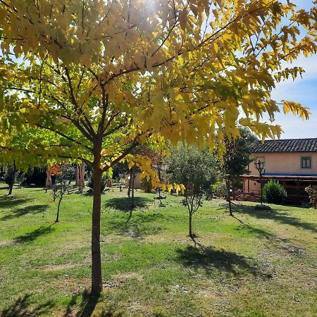Sassomatto B&B Bioagriturelax Campogialli Exterior photo